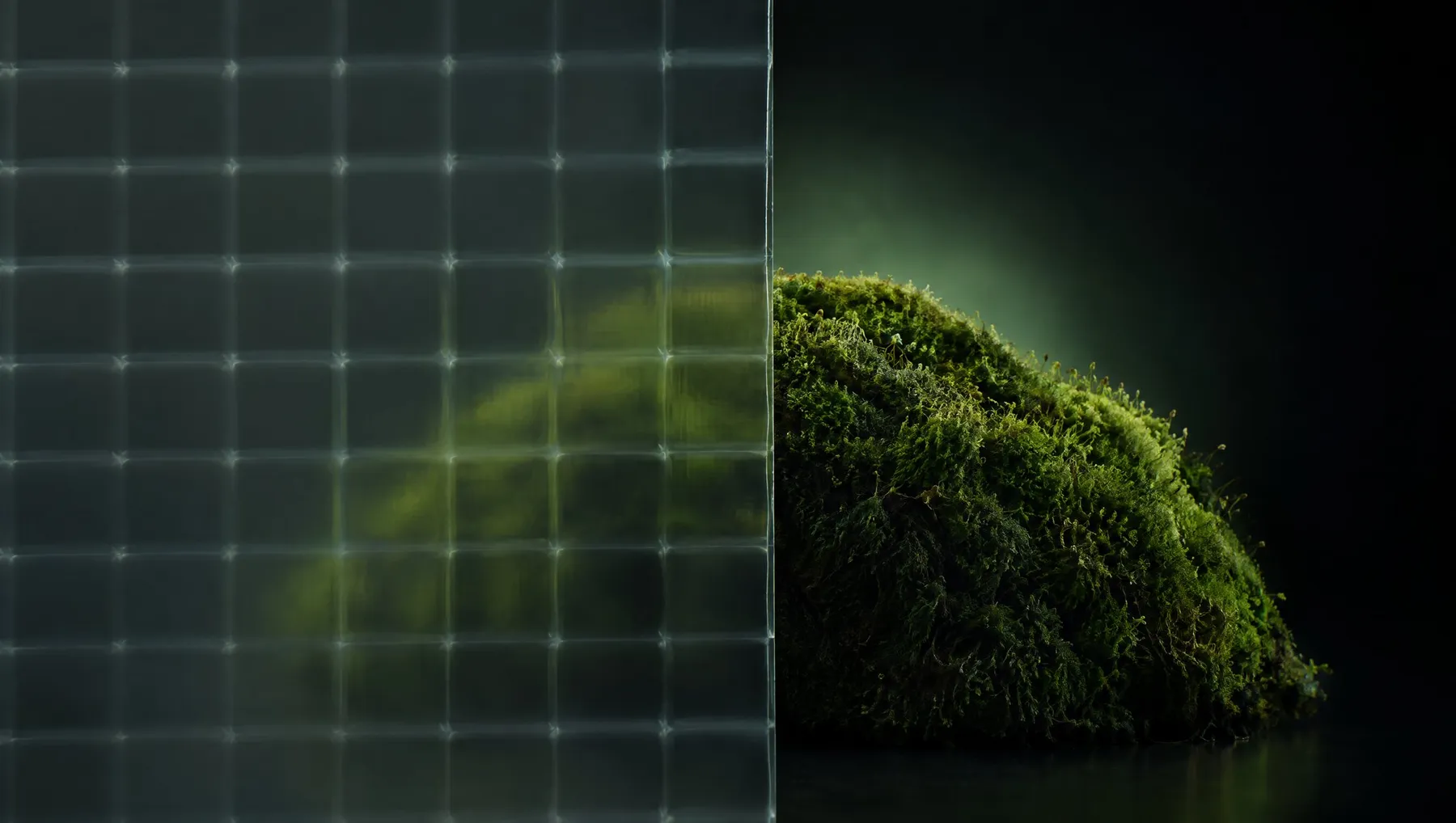 A mound of moss, half seen through cast grid glass.