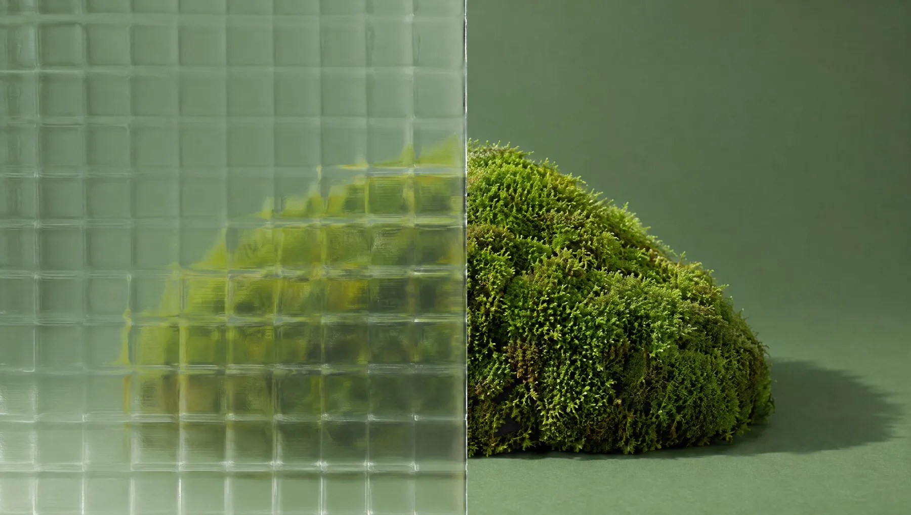 A mound of moss, half seen through cast grid glass.